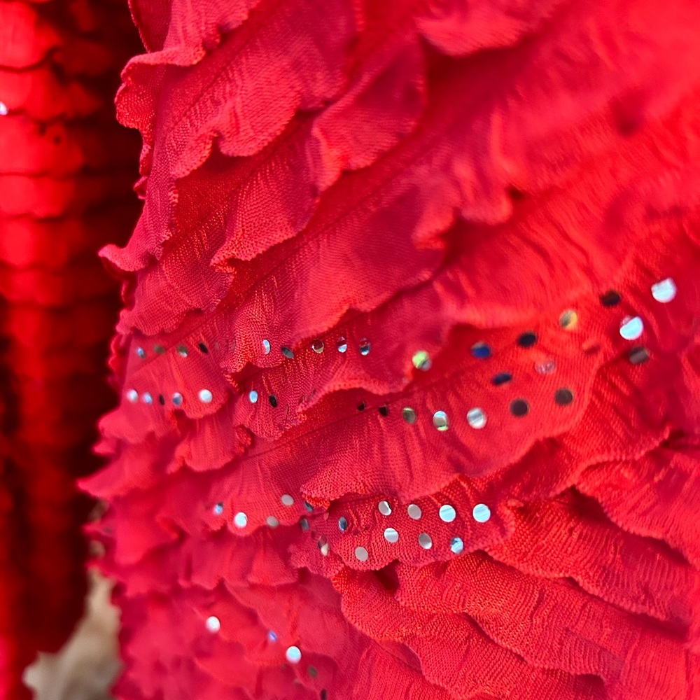 Red Ruffled Dressy Top - Picture 6 of 6